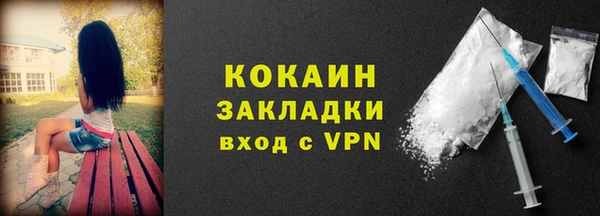 шишки Бронницы