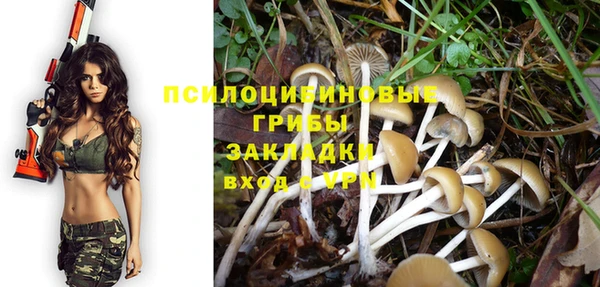 первитин Белоозёрский