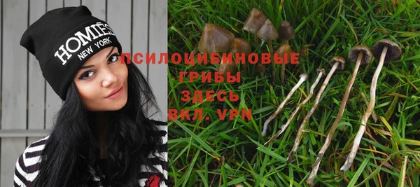 MDMA Белокуриха