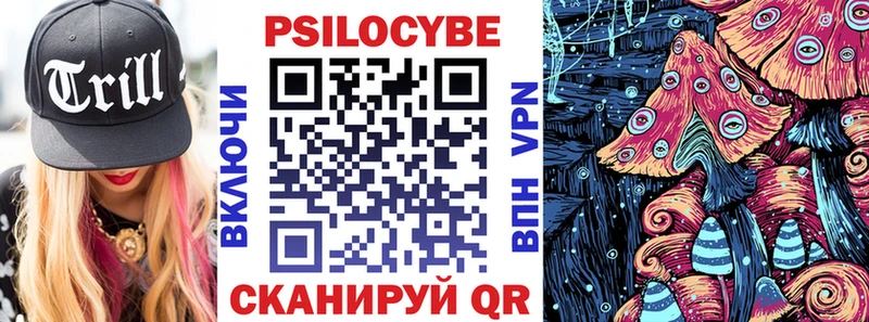 Галлюциногенные грибы Psilocybine cubensis  магазин продажи наркотиков  кракен вход  Балей 