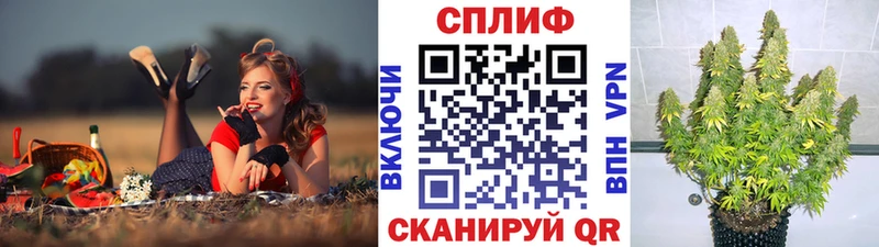 Шишки марихуана SATIVA & INDICA  Балей 